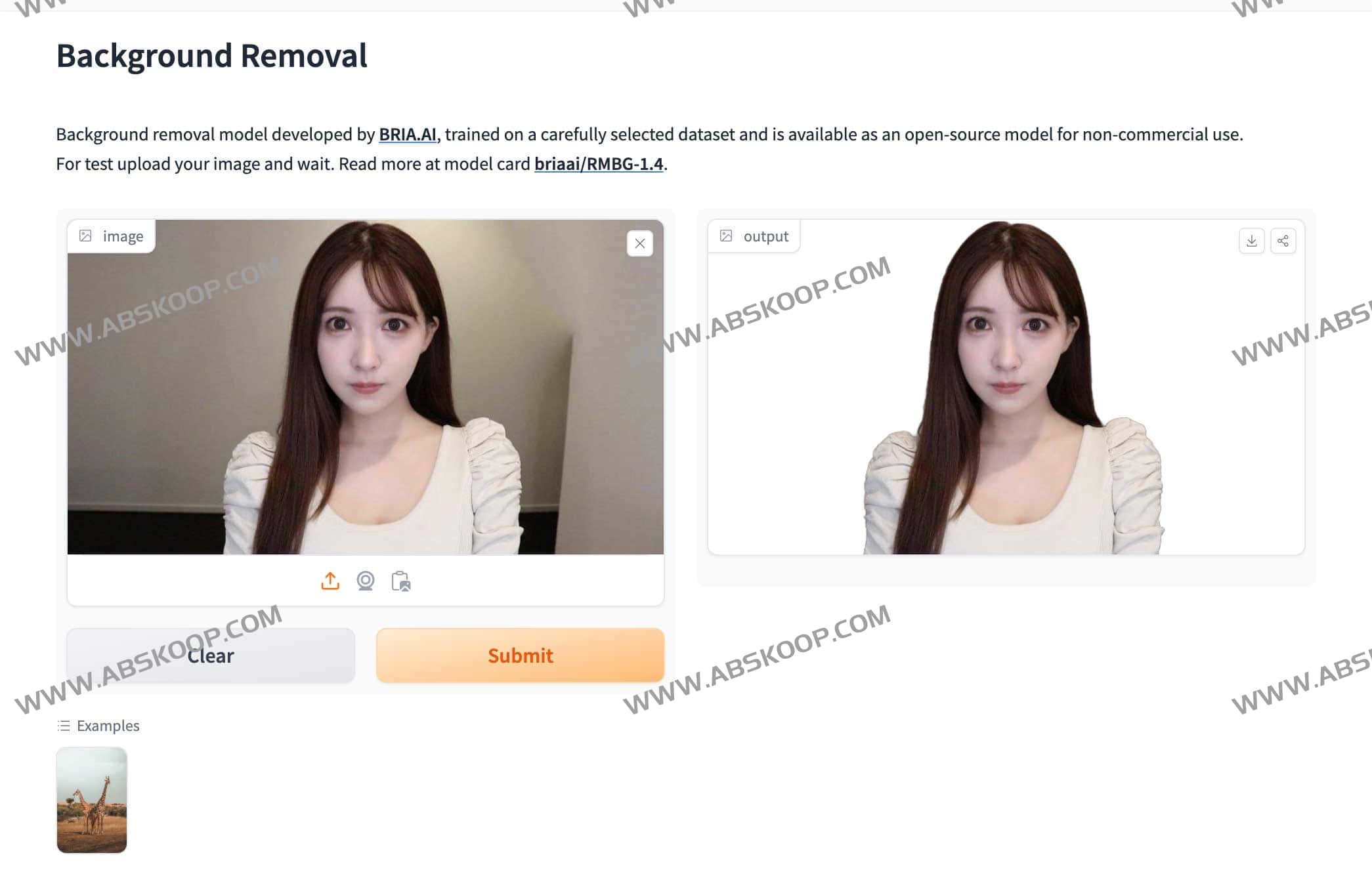 BRIA Background Removal v1.4 开源照片背景去除模型部署与使用指南 BRIA Background Removal v1.4 开源照片背景去除模型部署与使用指南