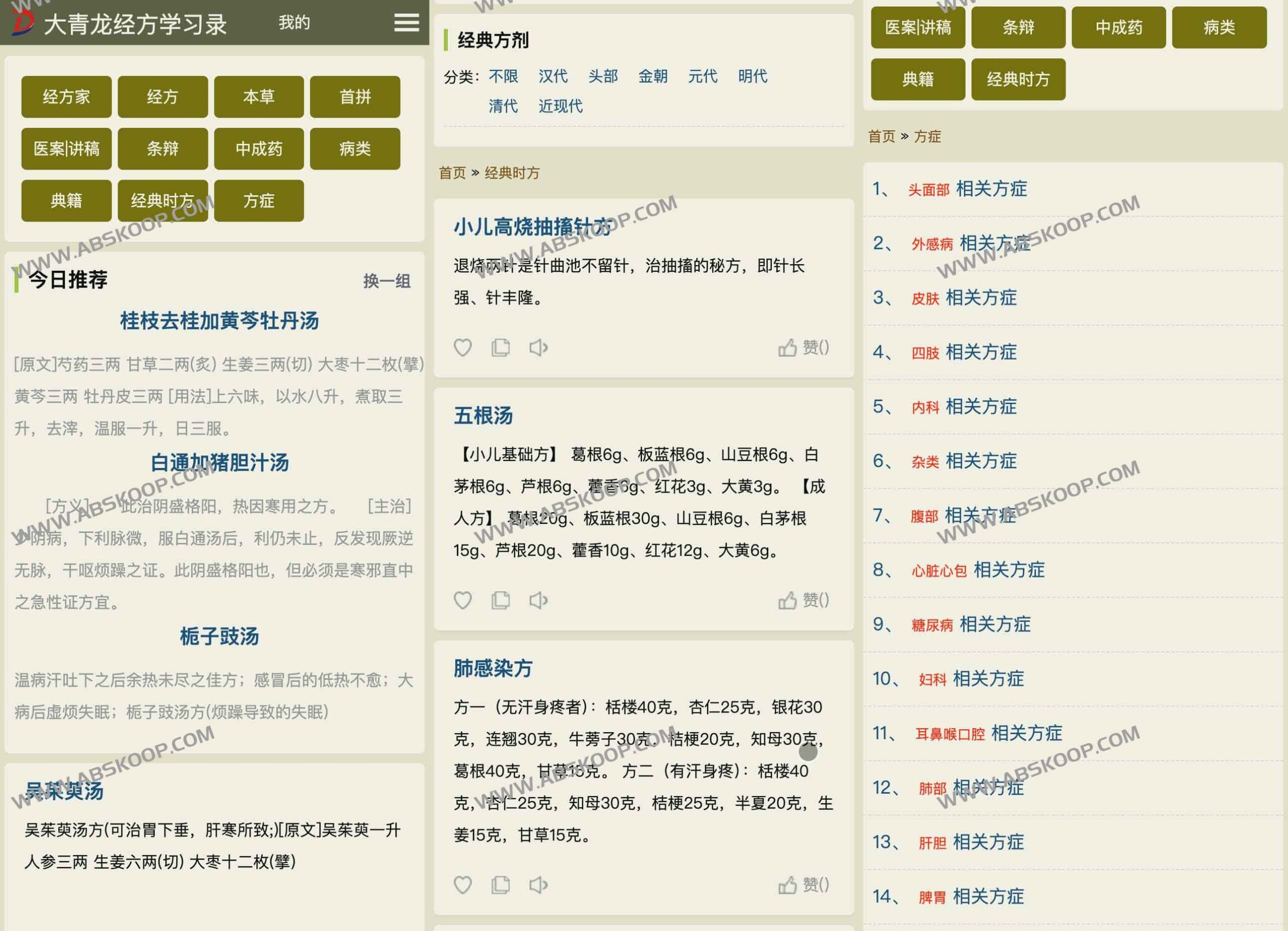 大青龙经方实战笔记：深度解析中医经典名方及其临床应用知识体系