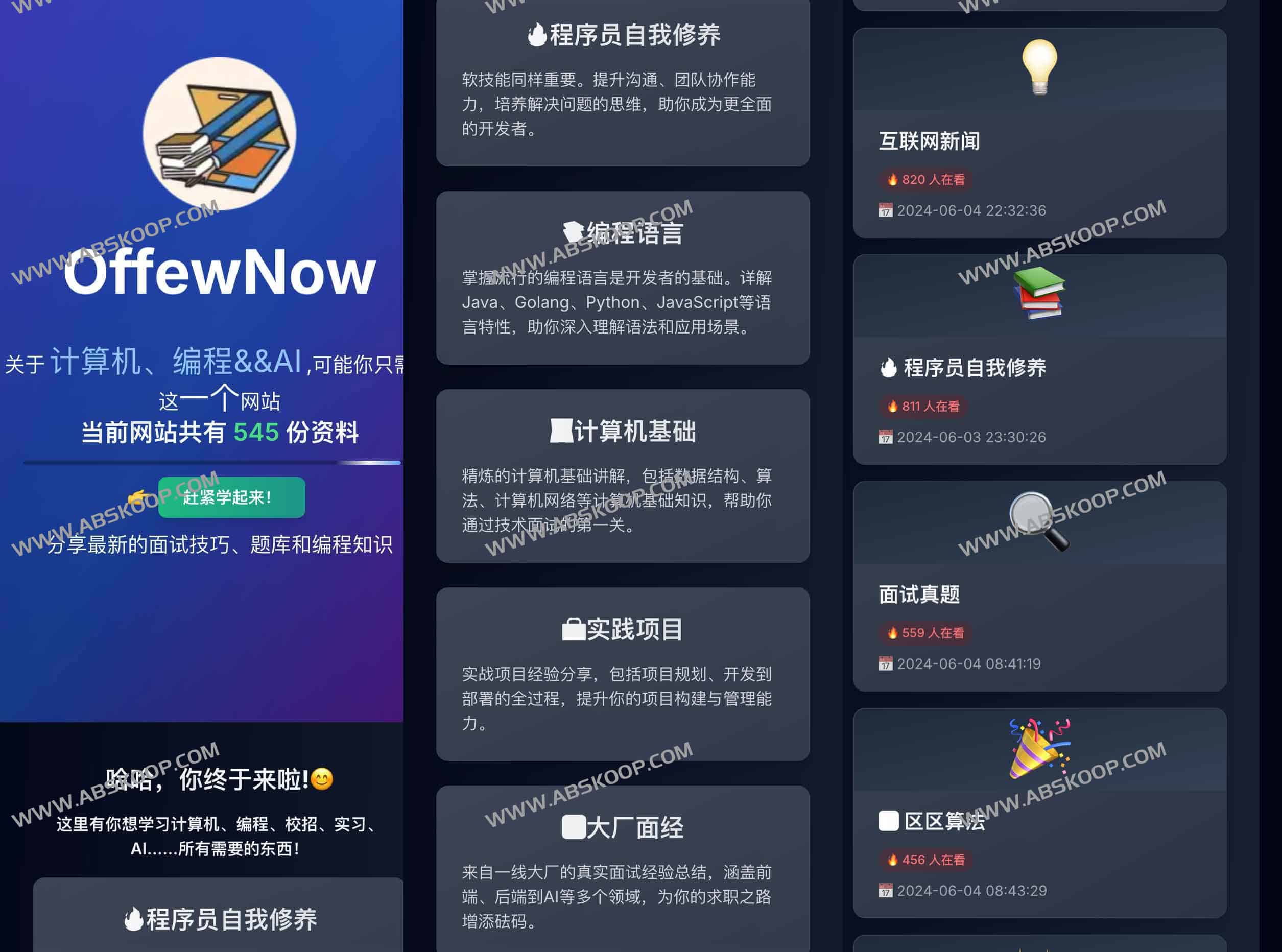 如何使用 OfferNow 提升编程能力并高效求职：实操进阶指南