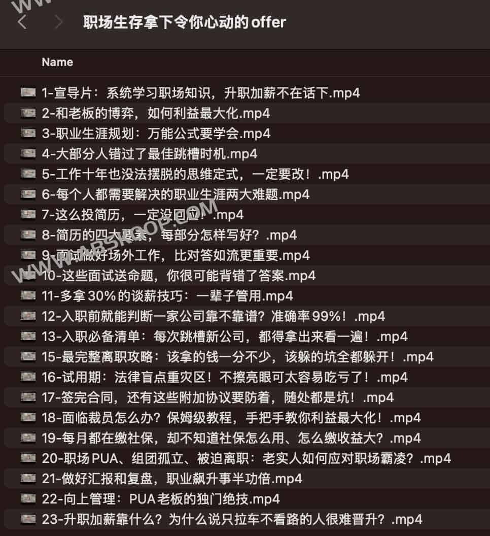 高效求职指南:从职场竞争策略到斩获心仪 Offer 高效求职指南:从职场竞争策略到斩获心仪 Offer