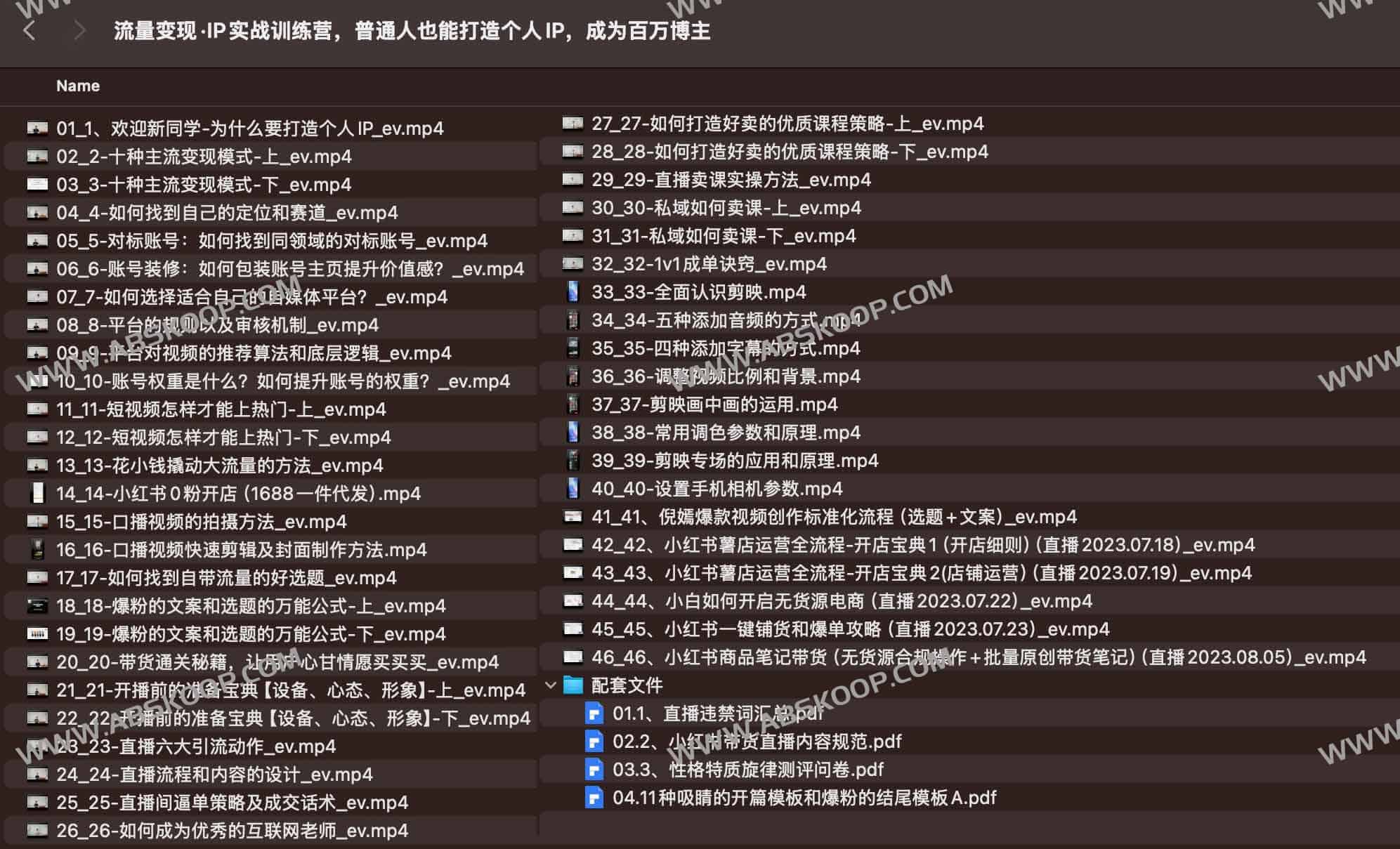 个人 IP 变现实战指南：通过体系化训练实现从零到百万博主的商业增长