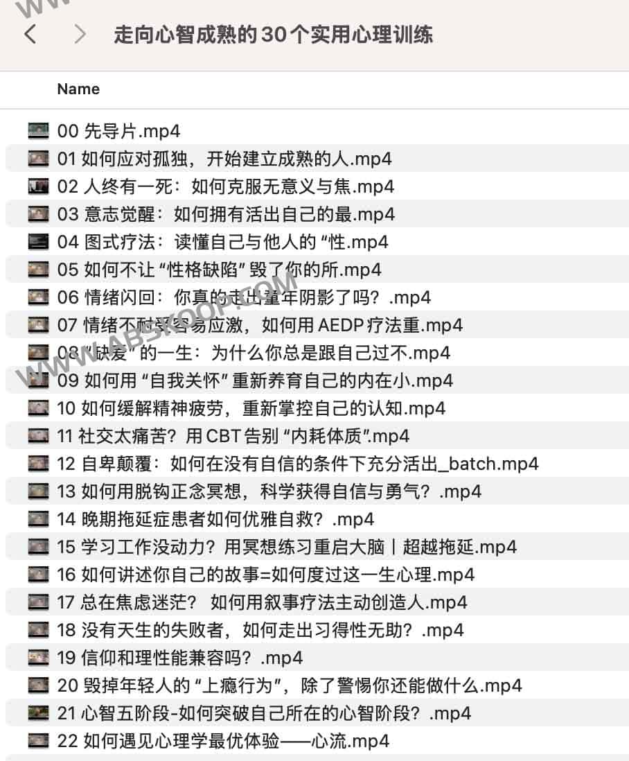 心智成熟度提升指南：30 项心理训练实操清单