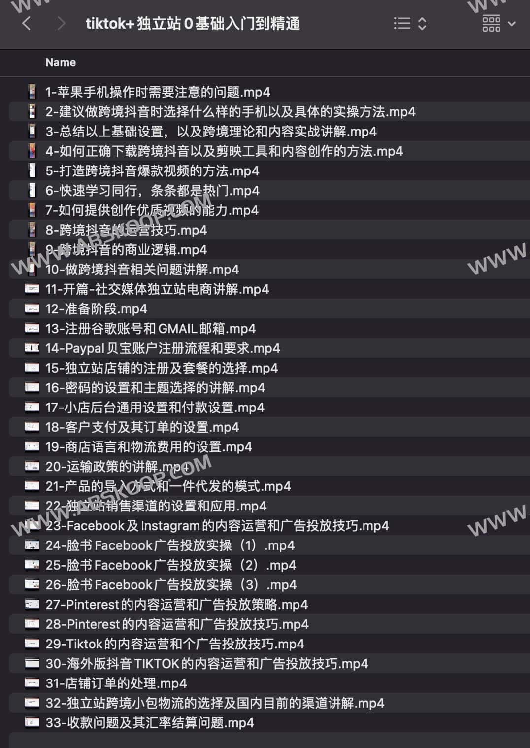 TikTok 驱动独立站增长全指南：从零构建流量闭环至实现高效转化