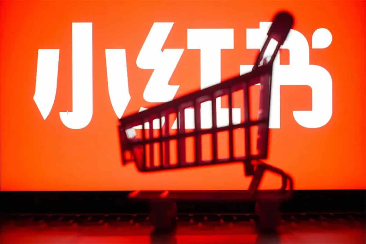小红书店铺从零到一:陶金金实战运营全指南 小红书店铺从零到一:陶金金实战运营全指南