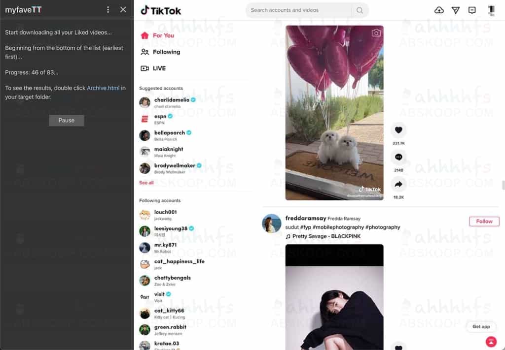 myfave TT 一键下载 TikTok 账号所有点赞 和关注者的视频