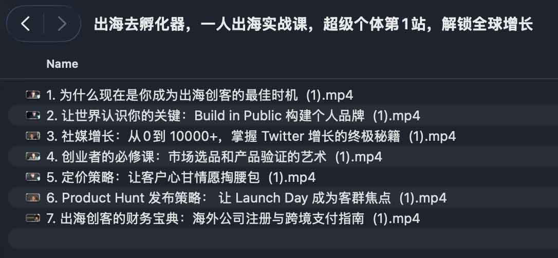 全球增长实战指南：超级个体从零到一的出海孵化路径