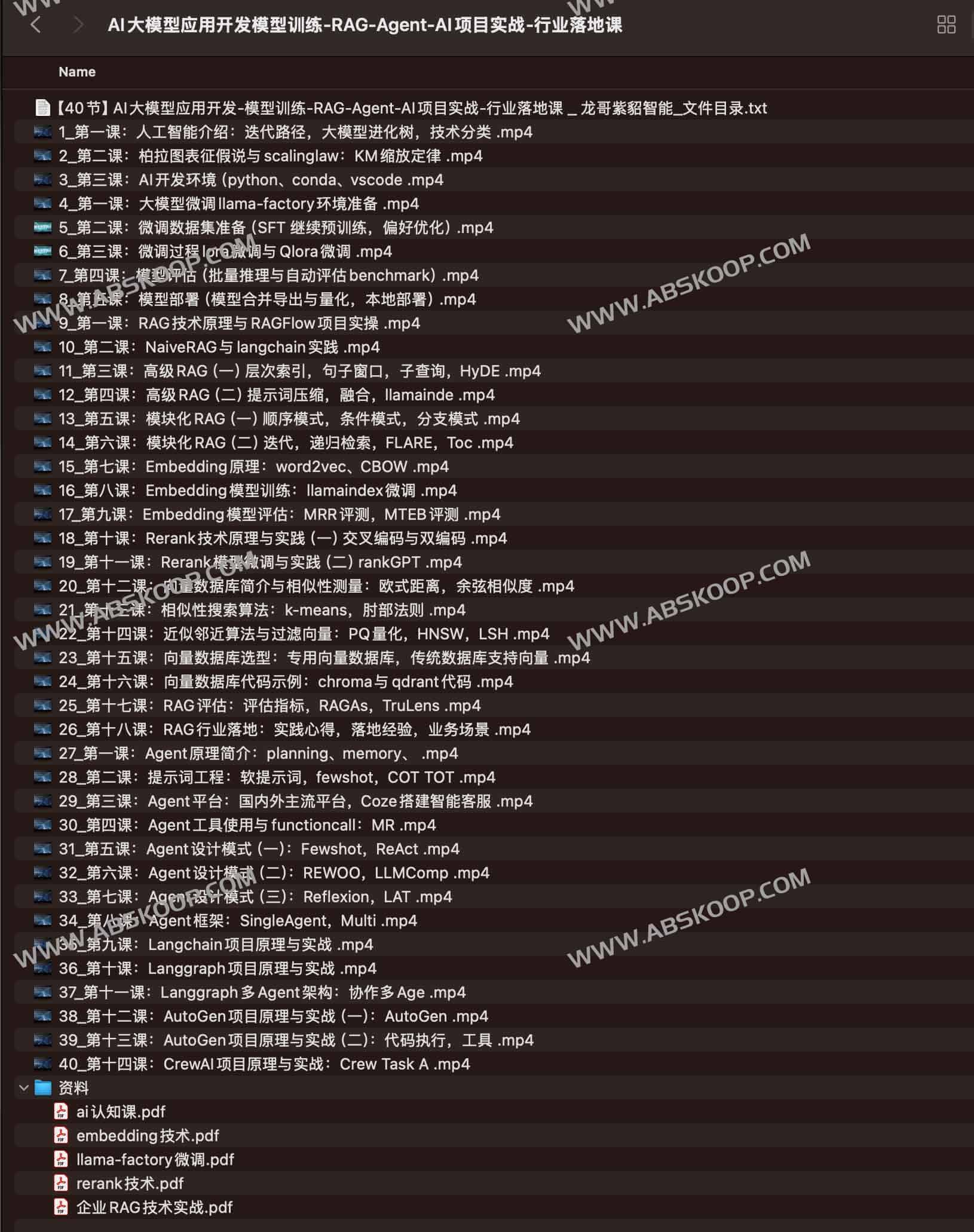如何从 RAG 与 Agent 实战出发，将 AI 大模型真正转化为可落地的行业应用？