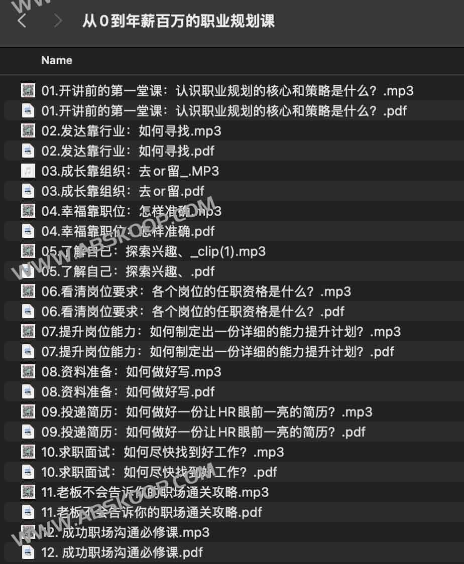 高薪进阶路径：从职场新人到百万年薪的能力构建指南