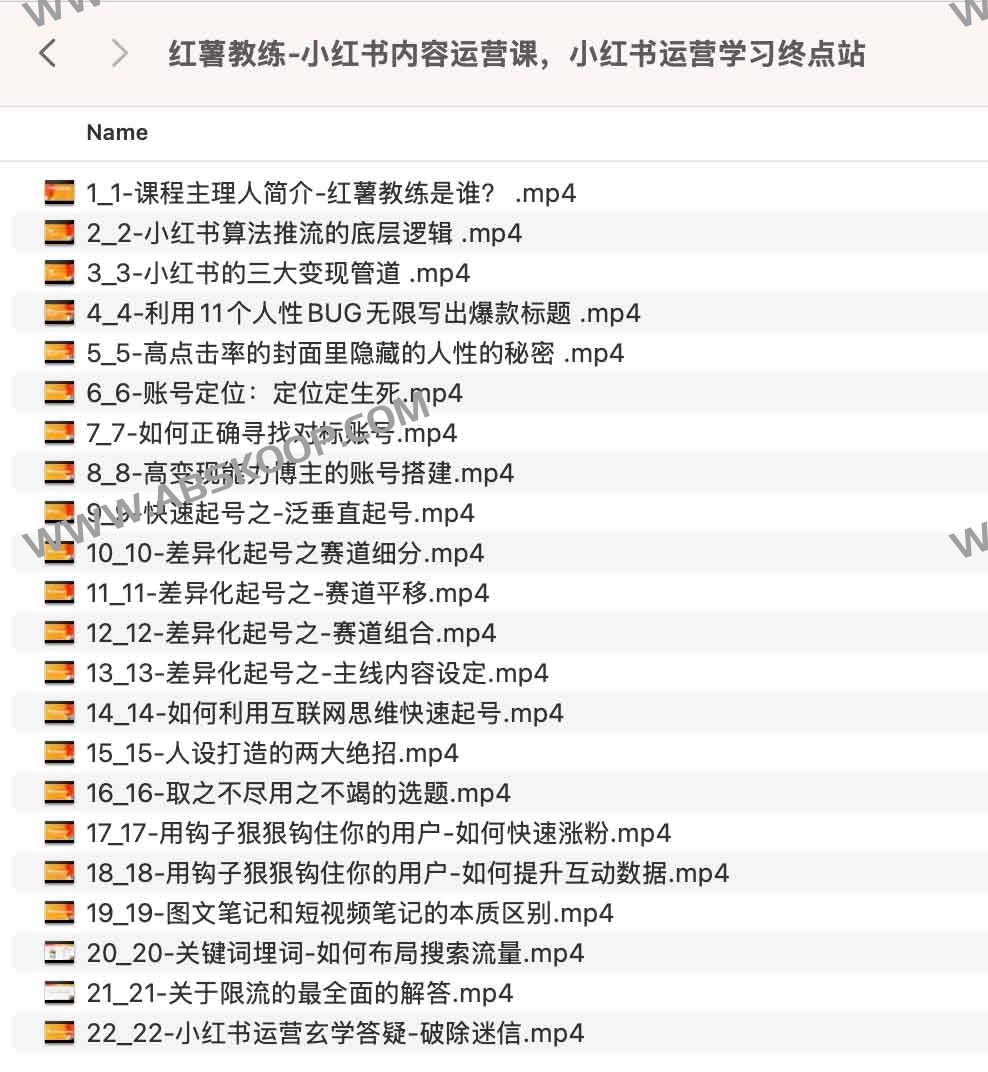 红薯教练：从内容策略到商业转化的全流程小红书运营实战指南