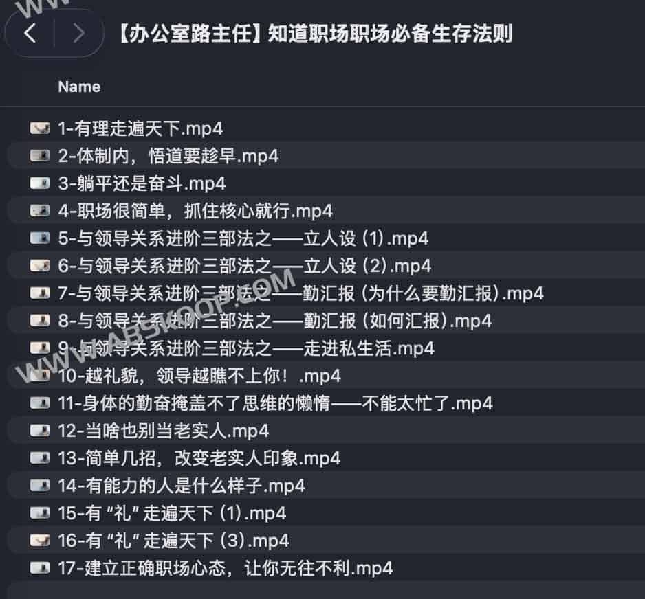 职场生存实操指南：掌握核心潜规则，构建高效能工作模式