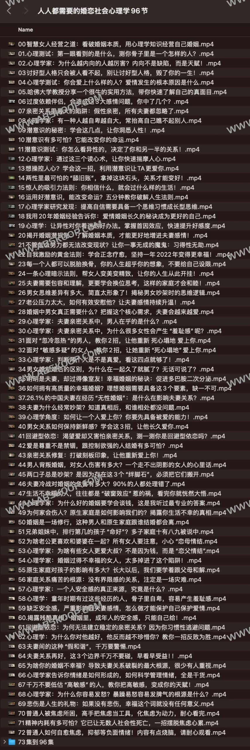 婚恋关系心理学:96 个实操要点与认知模型 婚恋关系心理学:96 个实操要点与认知模型