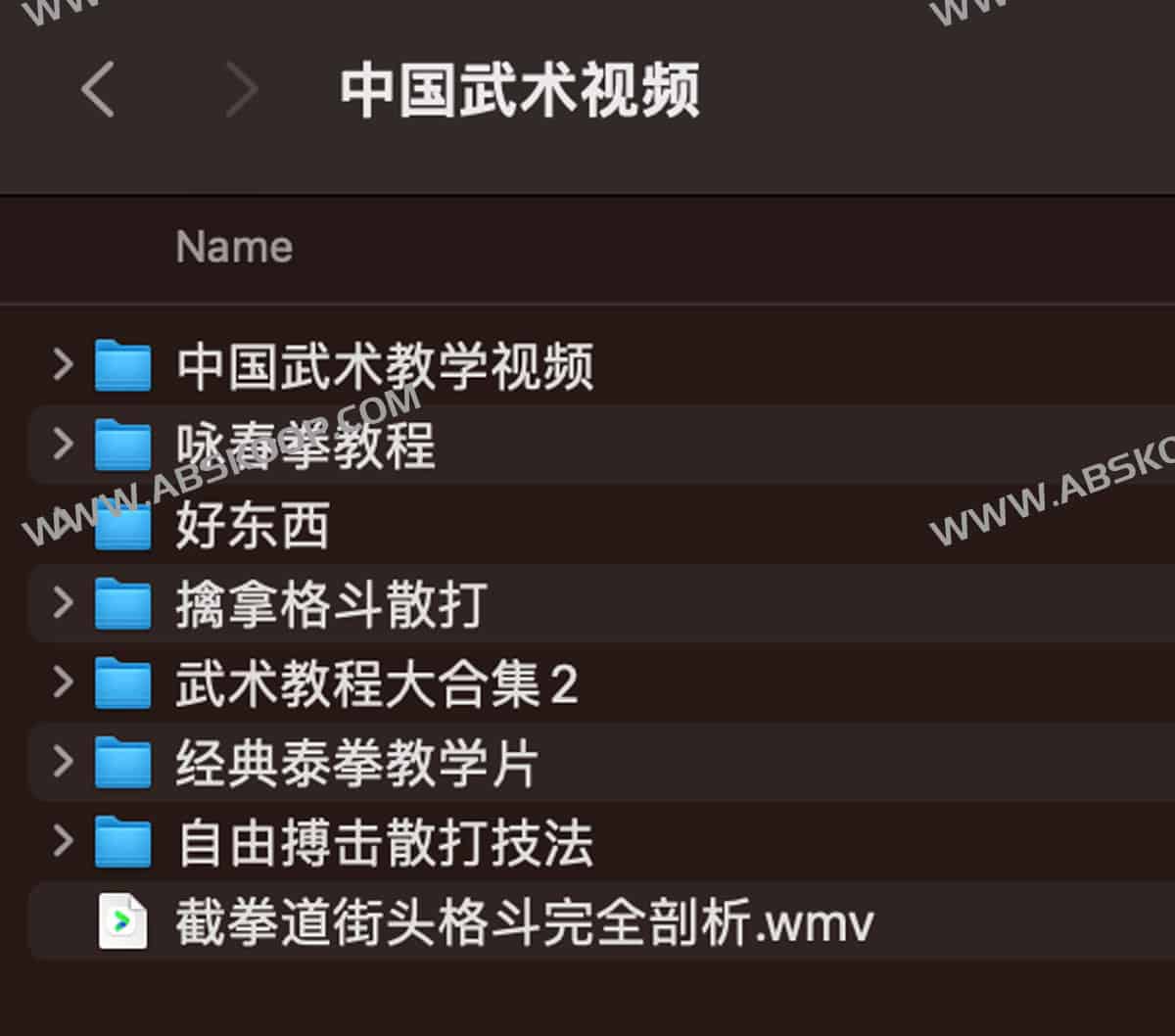 想学习中国武术却找不到标准动作?这份教学视频指南帮你快速上手 想学习中国武术却找不到标准动作?这份教学视频指南帮你快速上手