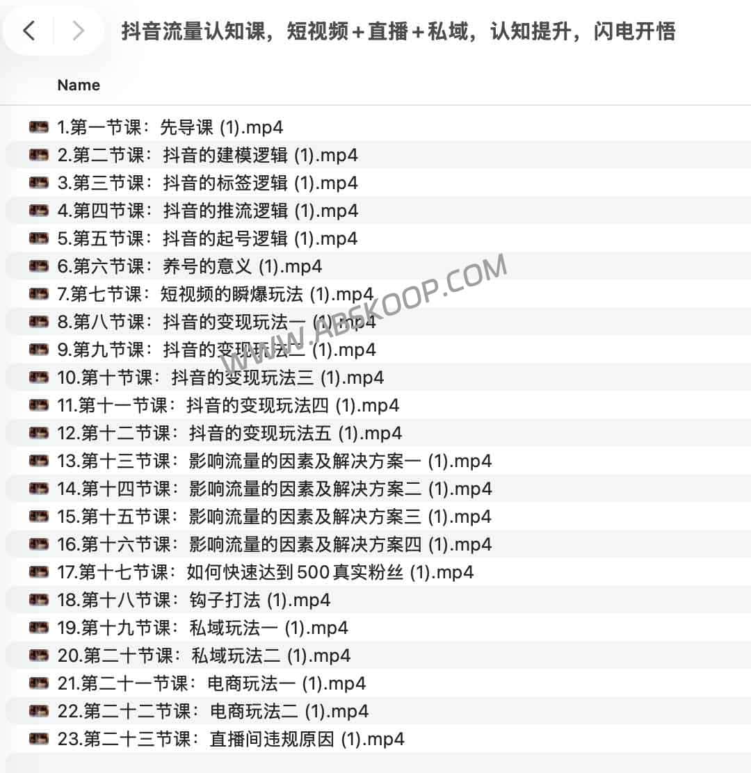 抖音全链路增长指南：从算法建模到短视频、直播与私域的闭环实操