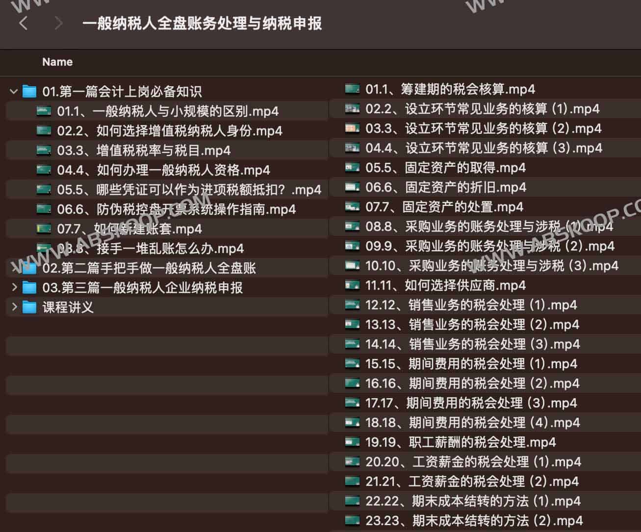 一般纳税人：账务处理全流程与纳税申报实操指南