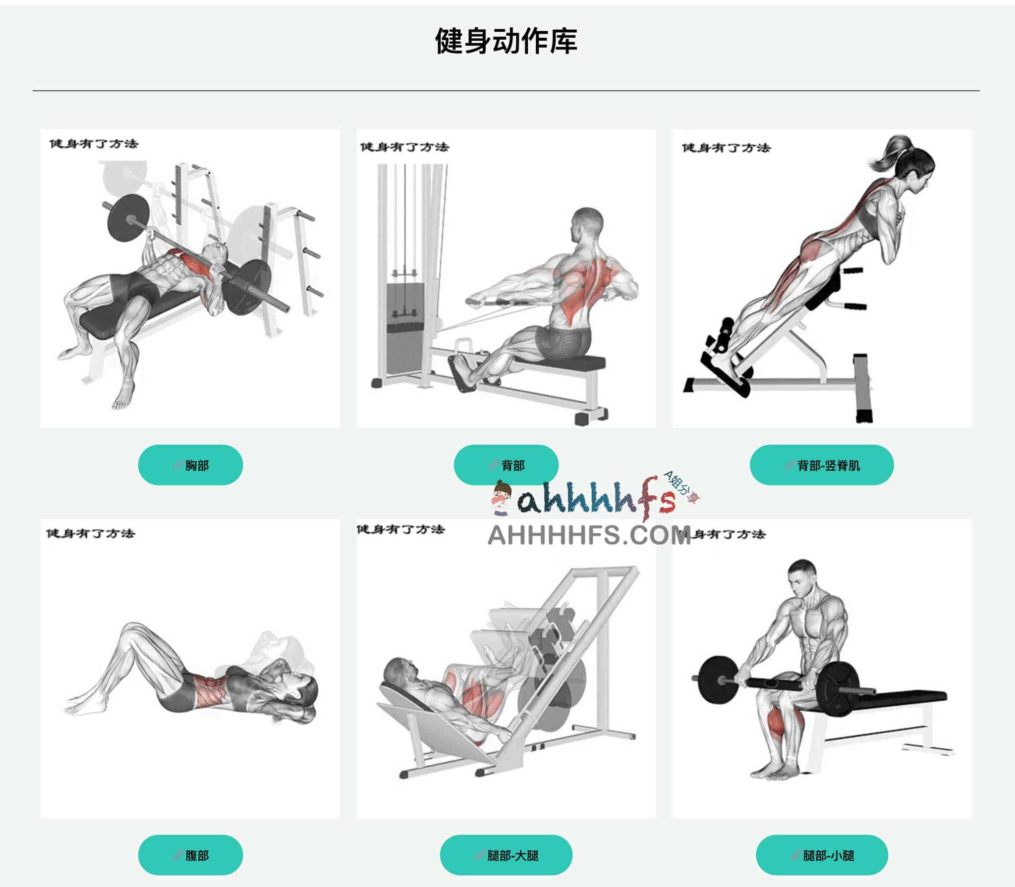 科学健身实操指南:通过系统化方法论实现身体素质突破 科学健身实操指南:通过系统化方法论实现身体素质突破